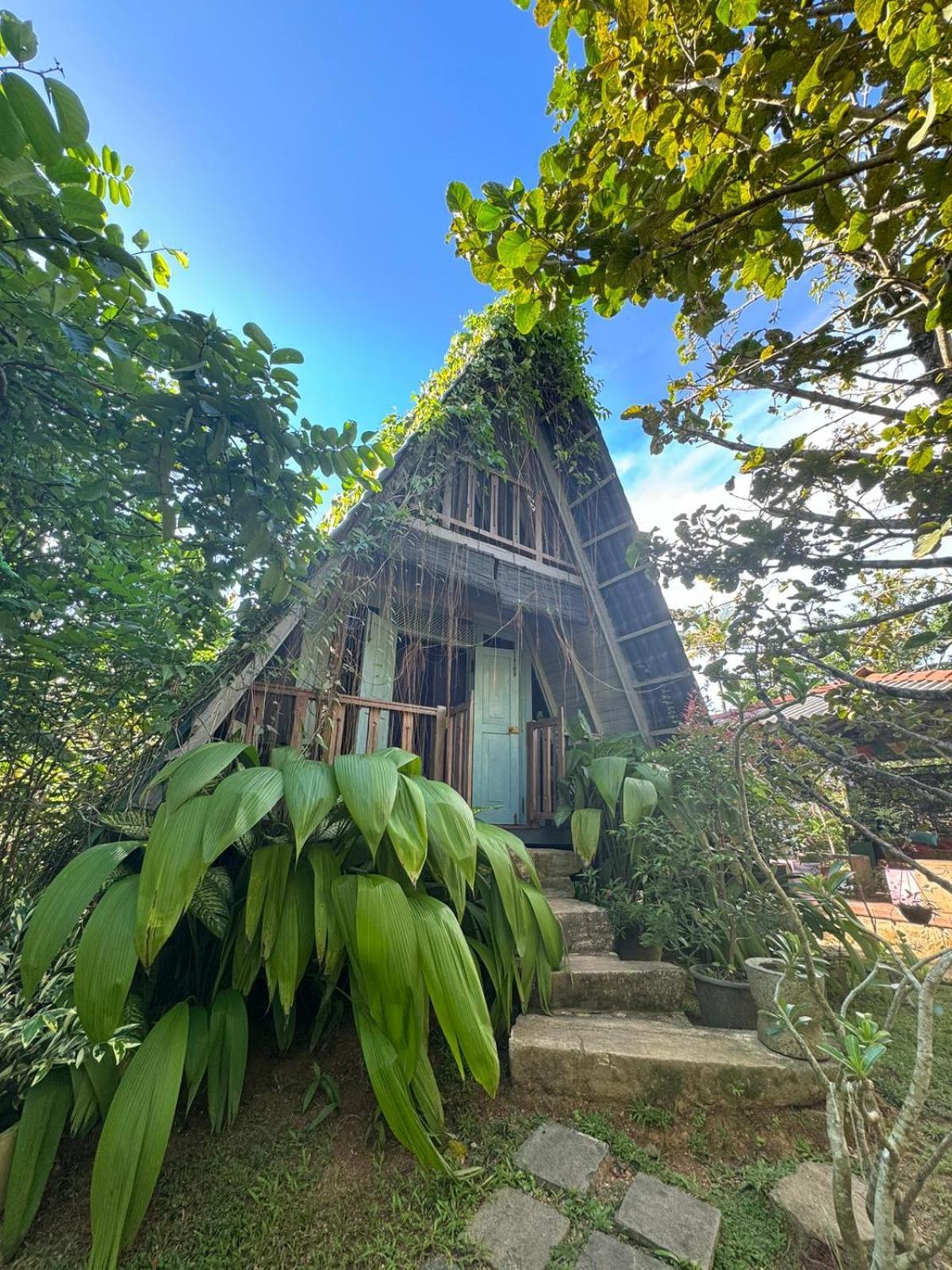 تالب Villa Ovita المظهر الخارجي الصورة